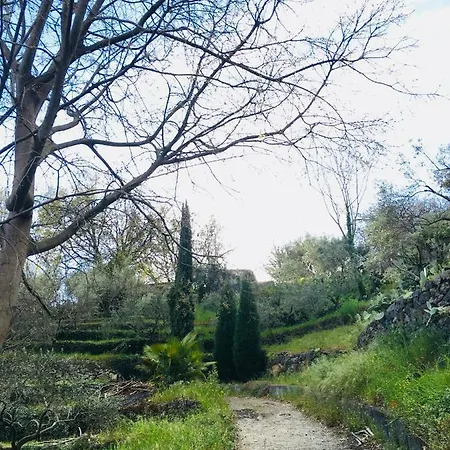 Villa Milo Villa