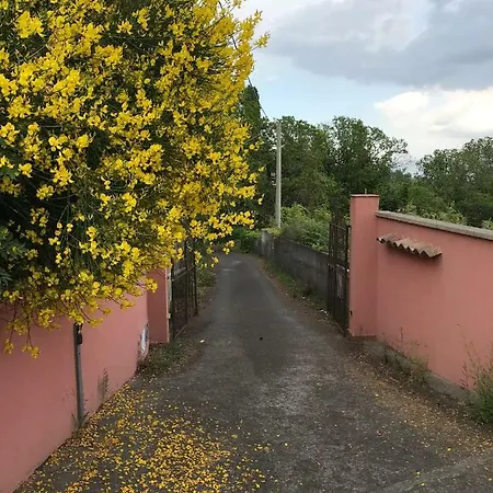 Villa Milo